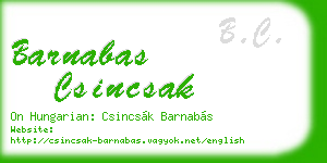 barnabas csincsak business card