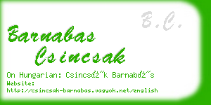 barnabas csincsak business card